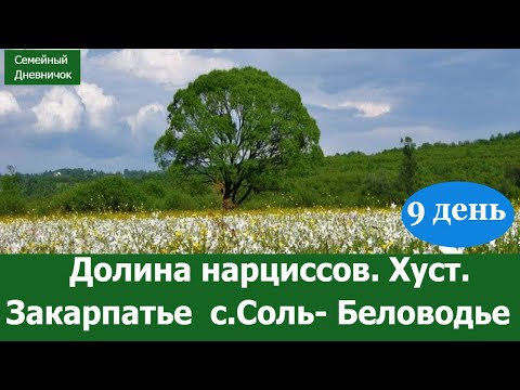 Хуст/ Долина нарциссов. Закарпатье Соль/ отель Беловодье