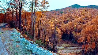 Fall Color ride NC Hwy 80 & Blue Ridge Parkway, Black Mtn Range, South Toe River, Crabtree, Celo 
