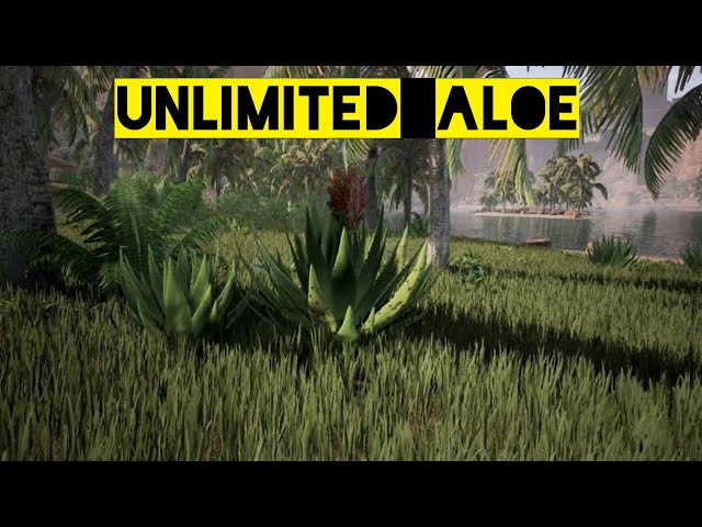 Unlimited aloe farming location conan exiles age of war - YouTube