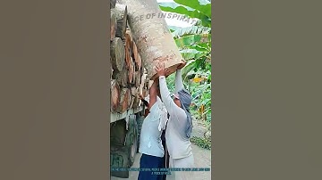 Manual Labor: People Loading Logs onto Truck by Hand