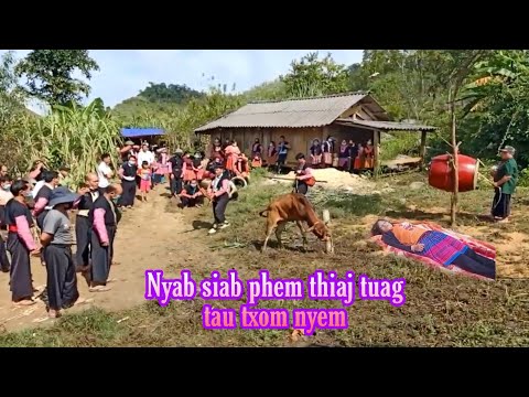 Video: Yuav Ua Li Cas Gowipe rau TH8 hauv Clash of Clans: 9 Kauj Ruam