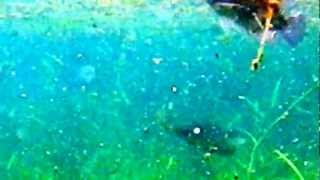20120705五溝水泉水窟湧泉
