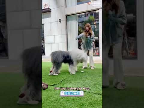 [ENG SUB]THE9- Esther Yu 虞书欣Vlog during filming "Moonlight".