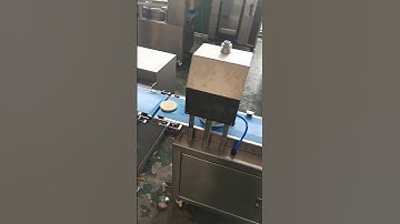 Testing video for the automatic pie stamping machine before the shipment