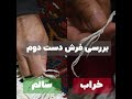 بررسی فرش دست دوم بررسی فرش دست دوم
