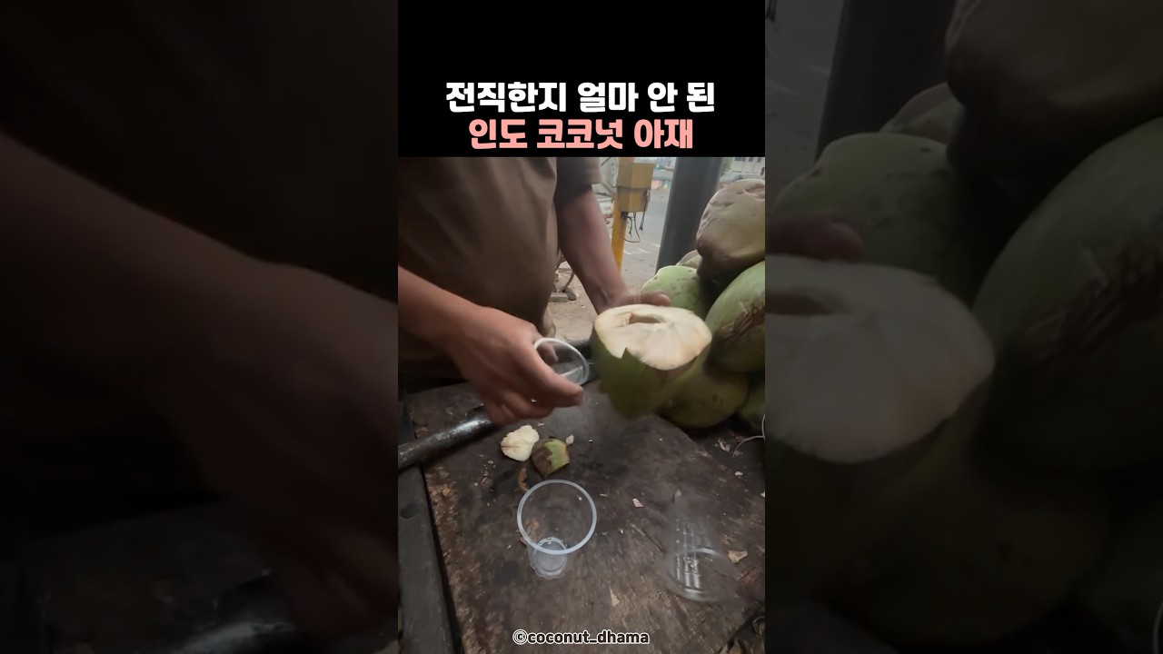 전직한지 얼마 안 된 인도 코코넛 아재