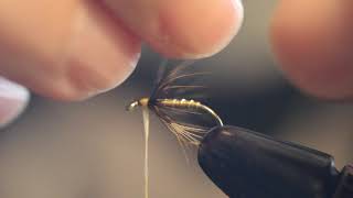 Tying a Greenwell's Glory wet fly with Bill Oder