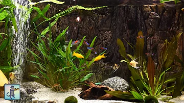 Relaxing Aquarium Fish Tank Sounds ~ NO MUSIC 🐟