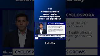 Consolidated food supply may be worsening cyclospora outbreaks, experts say