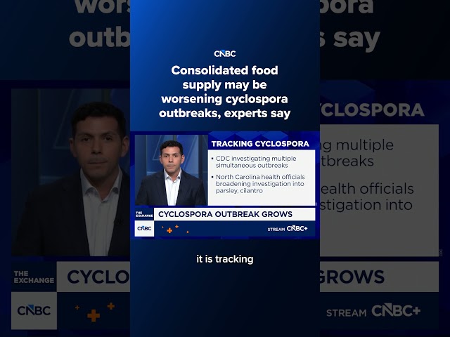 Consolidated food supply may be worsening cyclospora outbreaks, experts say