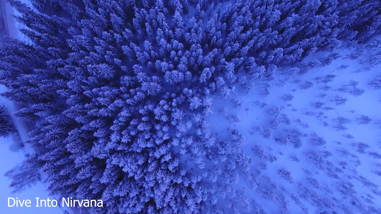 Extreme SNOWFALL | 3 Minutes of Amazing Nature Scenery And also comprising of stress free Music | 4k