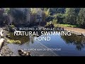 Joe and C’s Natural Swimming Pool