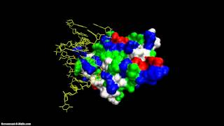 Human Nucleotide Flipping Uracil-Dna Glycosylase