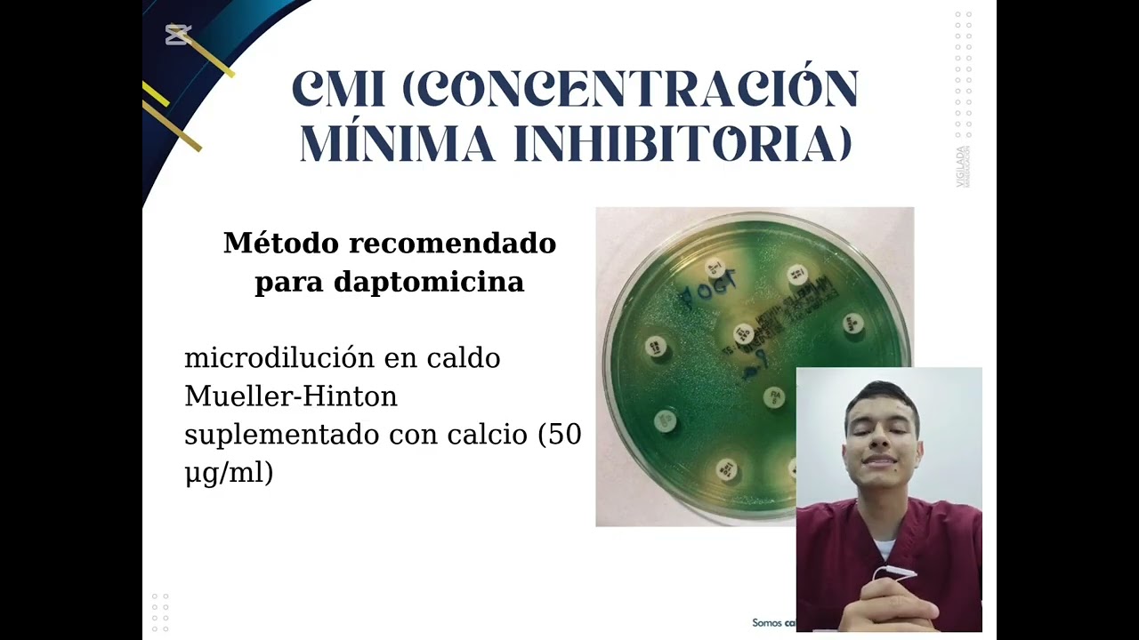 Vancomicina y daptomicina