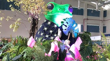 Triển Lãm Hội Chợ Kiểng Lá Lớn Nhất Việt Nam 2025 Vietnam Exotic Plants Festival || Toán Ròm Garden 