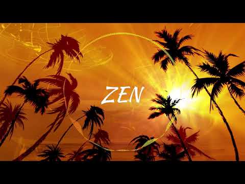 Fat Joe, DJ Khaled, Amorphous - Sunshine(The Light) - Audio Visualizer