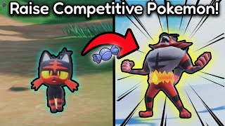 The Complete Beginners Guide To Raising A Compeive Pokemon Sv