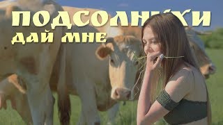 Подсолнухи — Дай мне Подсолнухи — Дай мне
