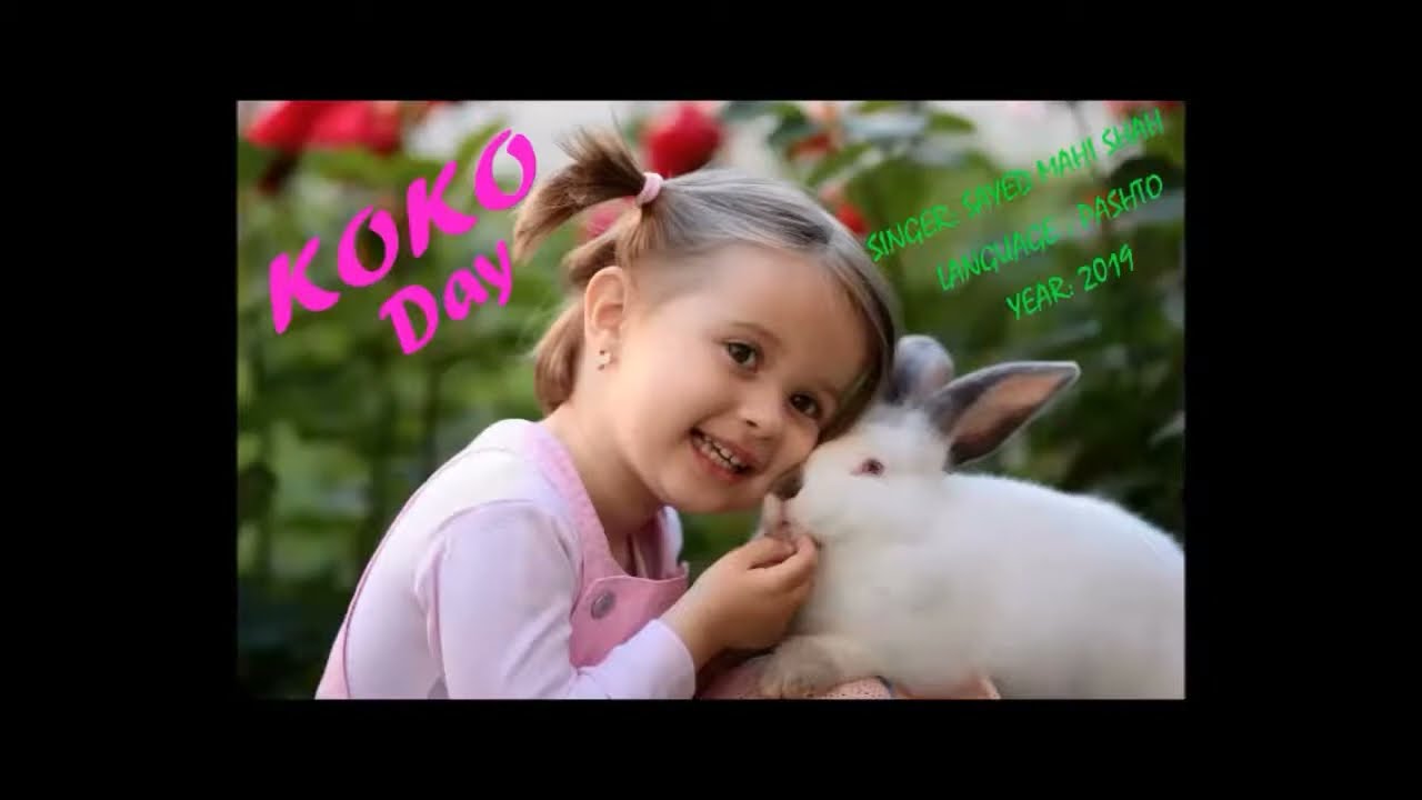 koko dy by Sayed Mahi Shah | Pashto Song 2019