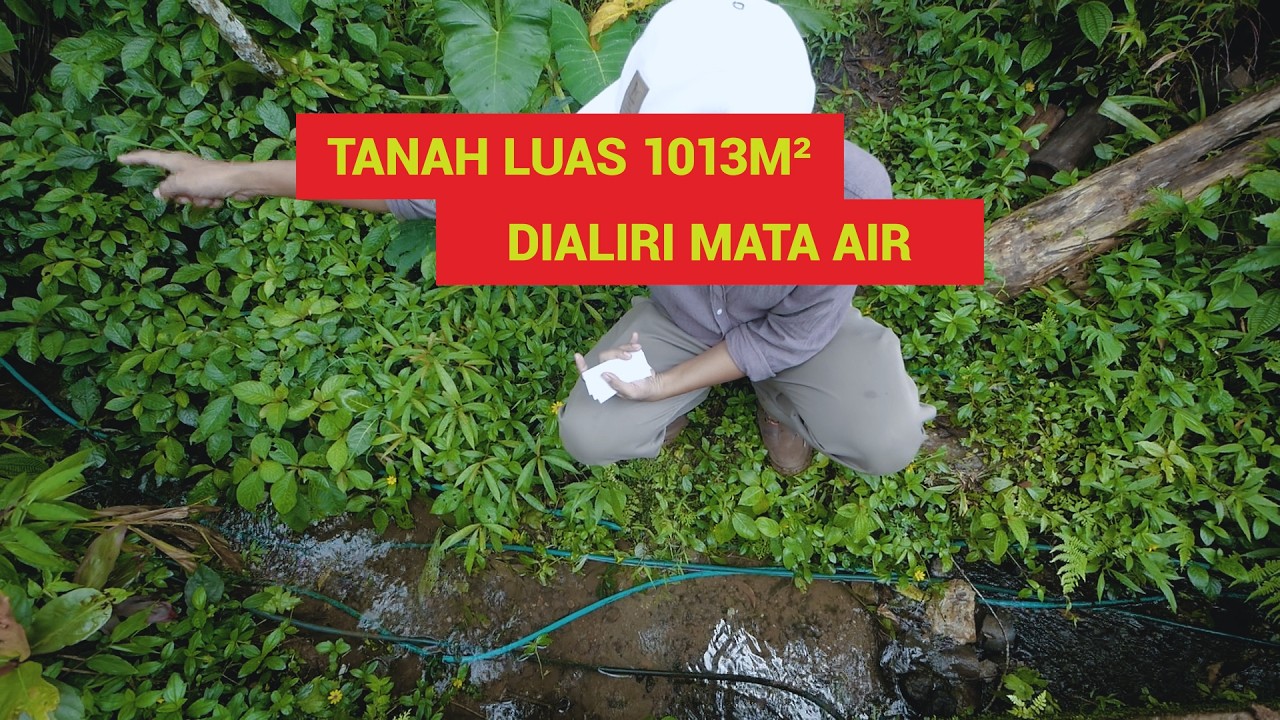 Tanah Luas 1013m² Dialiri Mata Air Kondisi Datar & Rapi, Siap Bangun! Villa, Glamping Maupun Hunian