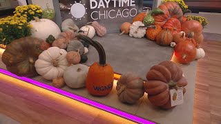 Elevate Your Home's Fall Aesthetic with Luxe Pumpkins