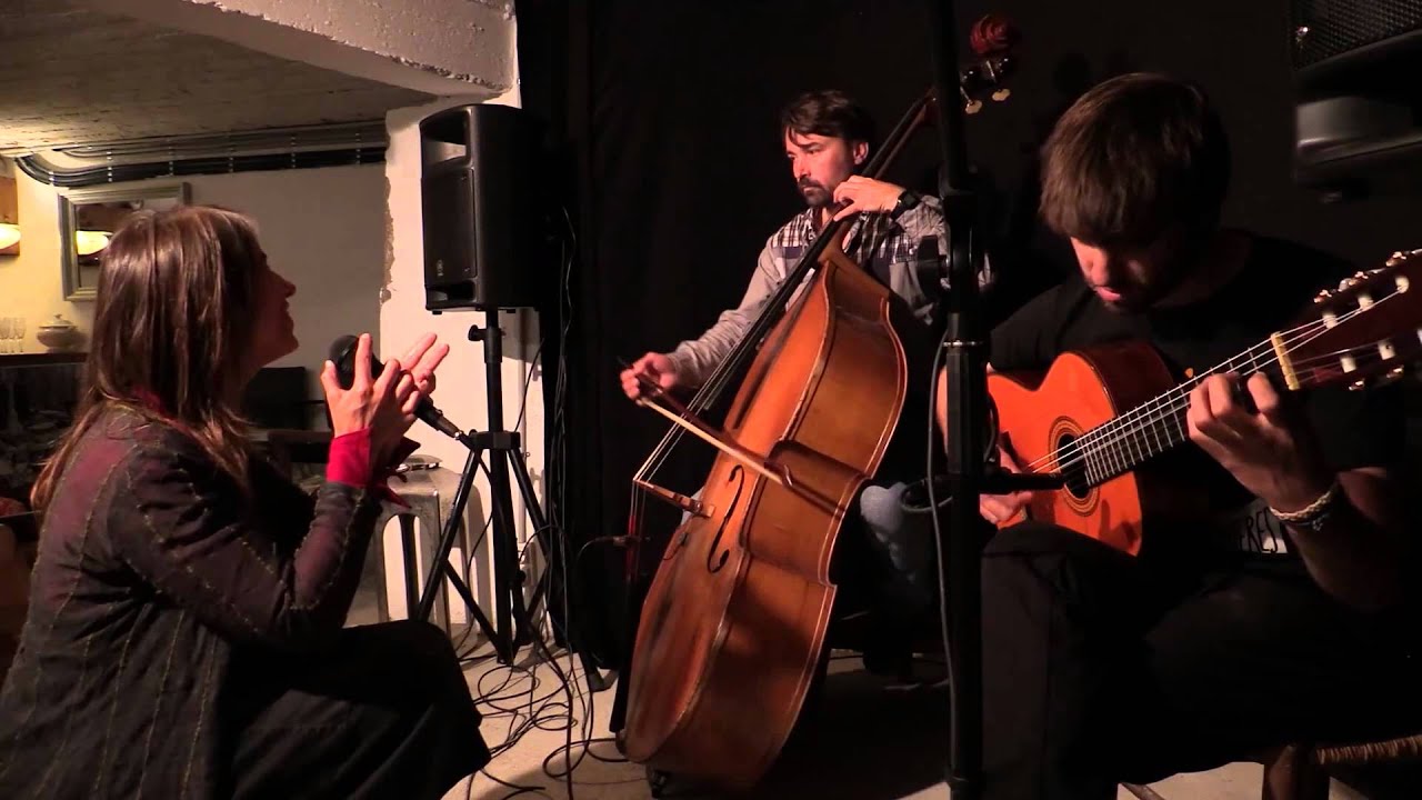 Lídia Pujol - He mirat aquesta terra (assaig)