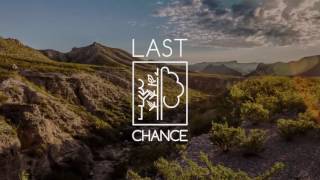LAST CHANCE - MacArthur 100&Change Submission