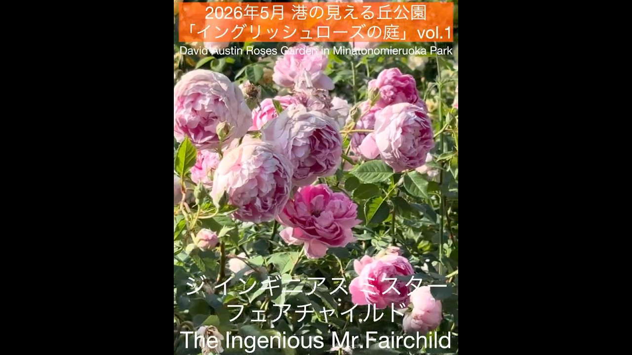 May 2026 Minato-no-Mieru Oka Park 