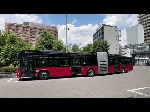 岐阜バスの連節バス　青流ライナー　"Seiryu Liner", Gifu Bus articulated bus　(2026.6)