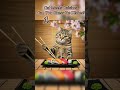 Guessing Game#cat#catvideos#meow#riddles#trending#christmas#easyrecipe#shortvideo#shorts
