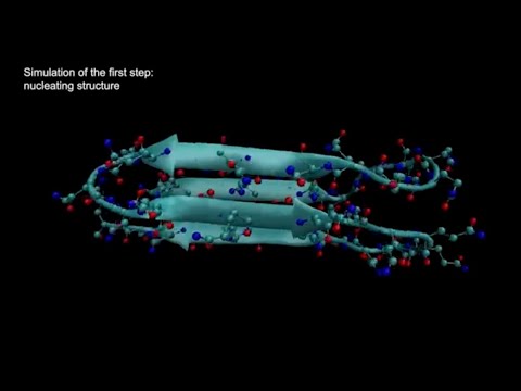 New research from the Stowers Institute reveals the start of Huntington's disease