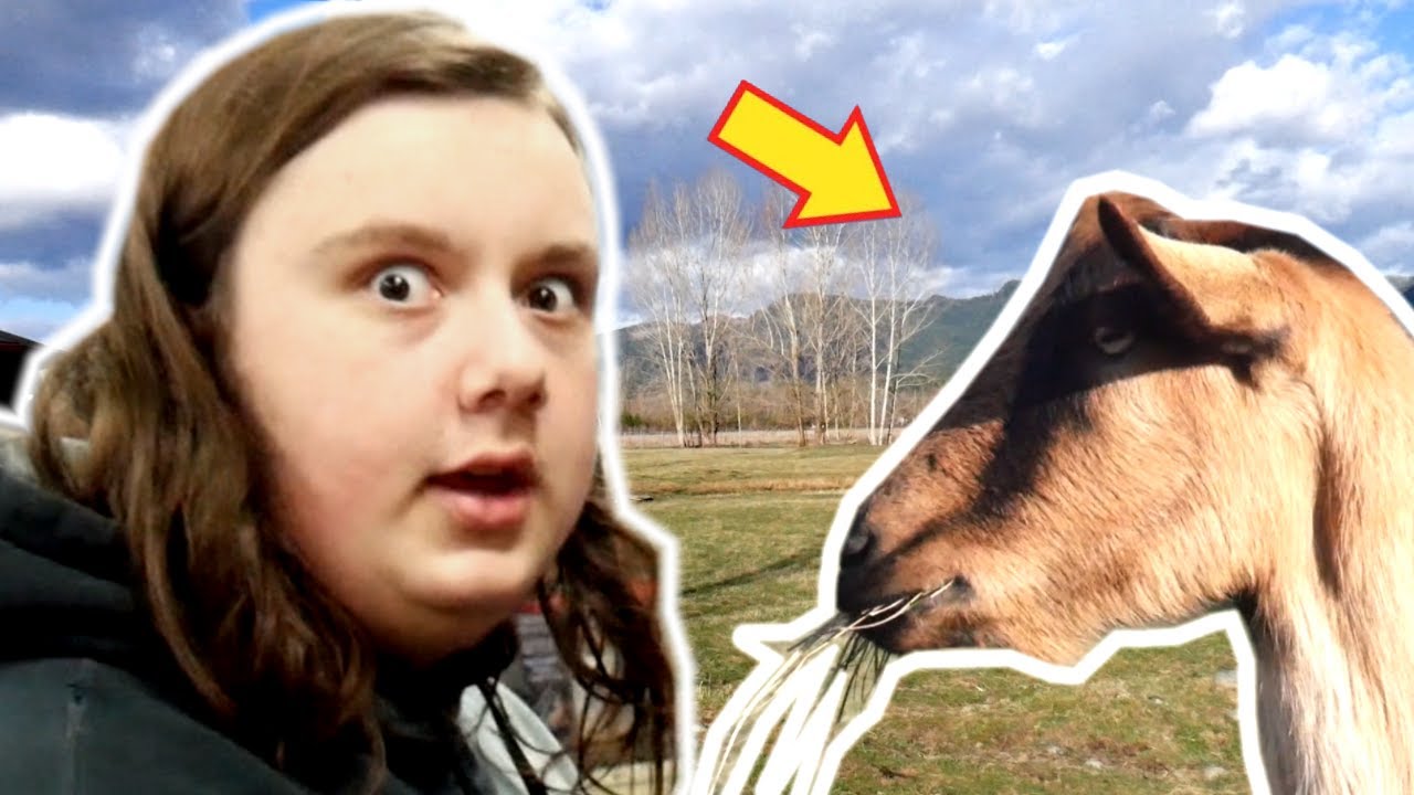 We Found An Alien On The Farm!