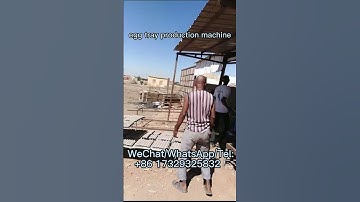 Great seem! How is the natural drying egg tray machine produced?#shorts