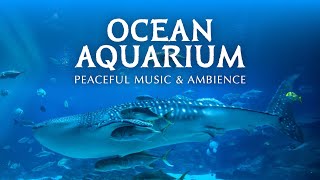 Ocean Aquarium | Underwater Ambience with Peaceful Music for Study, Sleep, and Relaxing