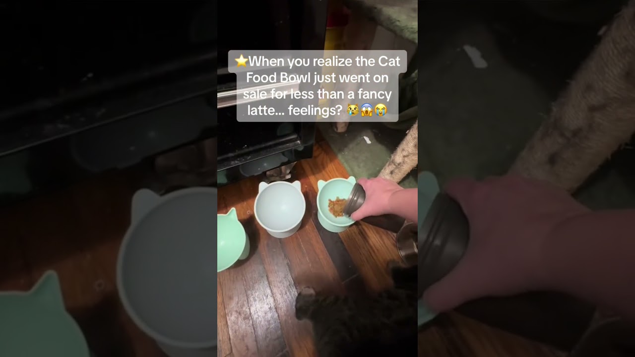 Limited time: grab amazing pet deals now!