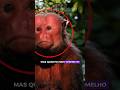5 animais RAROS que só existem no Brasil 🇧🇷😳#Brasil #AnimaisRaros #Curiosidades#Animais