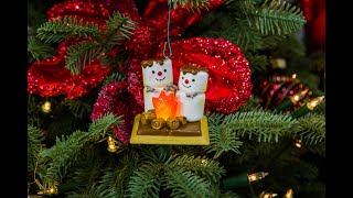 2020 Hallmark Keepsake Ornament - S’more Camping Fun Ornament - Home & Family