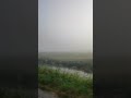 Typical foggy morning in Netherland