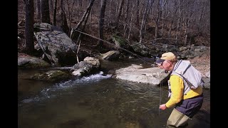Native Brook Trout Fishing in the Shenandoah National Park in April by Harry Murray