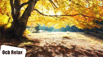 Fall Morning Music | 3 Hours of Calm and Uplifting Music