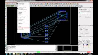 Celebrity Allegro Tutorial Extended Nets XNETS Net Worth