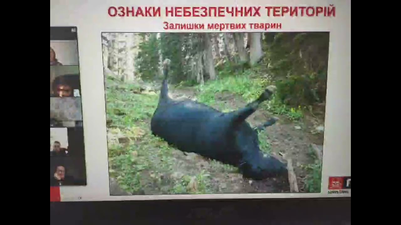 03.04 Олешківський ліцей №2 провели зустріч з The Mines Advisory Group (MAG) 