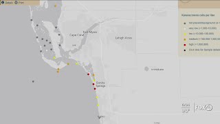HEALTH ALERT Red Tide present in several Gulf locations