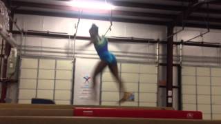 Stephanee's switch leap combination Net Worth
