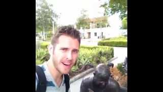 Do You Have The Time?