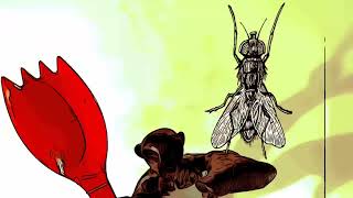 Flies Nightmare