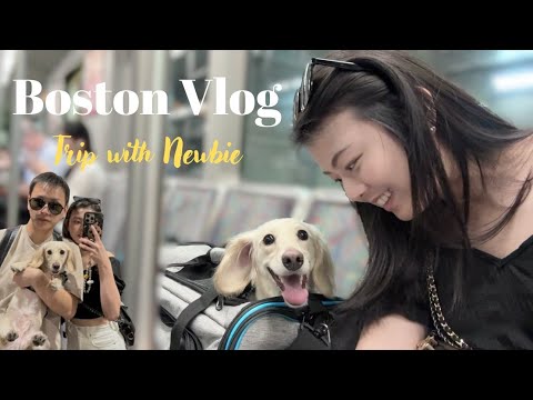Boston Vlog｜Newbie第一次出遠門坐飛機✈️ 目的地 - 波士頓、波士頓超好吃餐廳、網美景點超好拍！