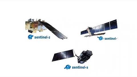 104 EO Platforms, Infrastructure-1, Forestry TEP Helps Managing Forest Resources and Carbon Globally