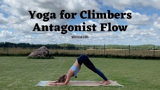 35 min Antagonist Flow for Shoulder, Arm & Wrist Strength and Health | Yoga for Climbers