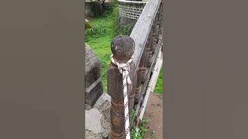 So Simple | Loop Knot | Knotskill | #shorts #knots #knotskill